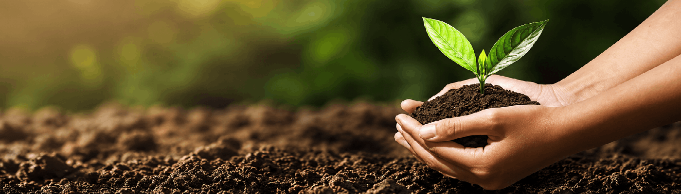 KVS Premier Group Environment