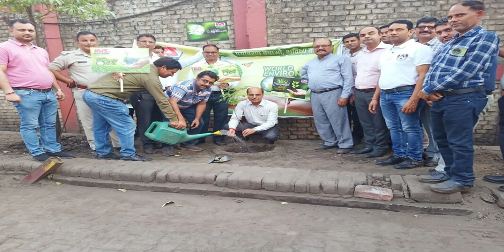 KVS Premier Group tree plantation drive